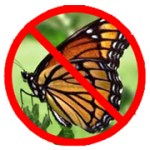 Figure 1: Ban the Butterfly